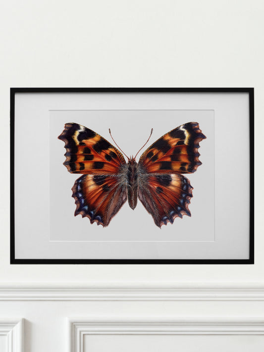Nymphalis polychloros, original watercolor art