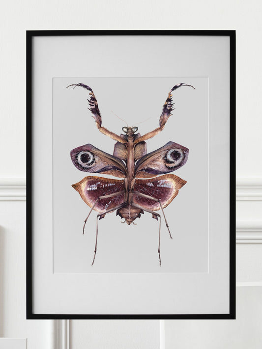 Deroplatys desiccata, original watercolor art