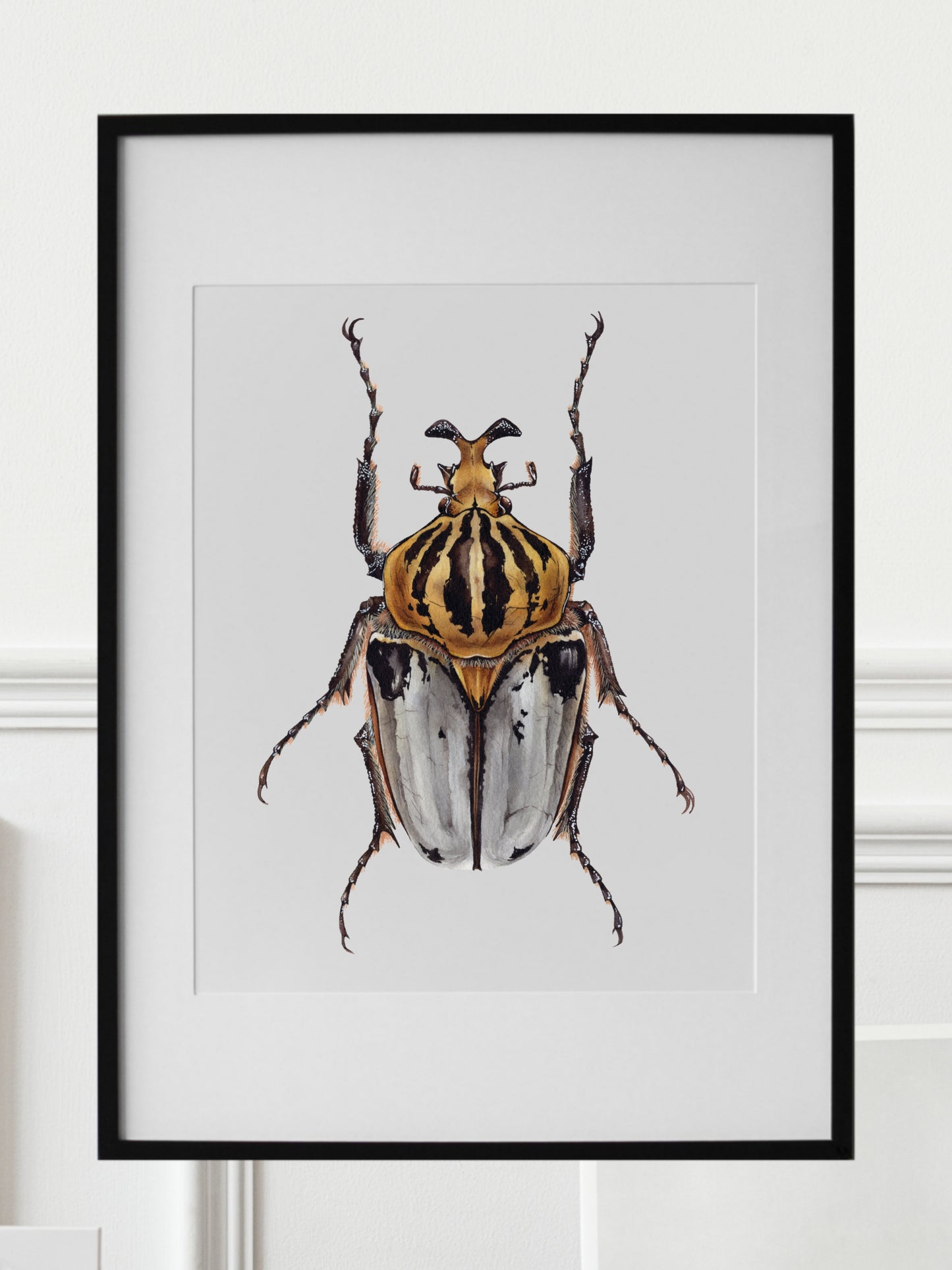 Goliathus cacicus, original watercolor art