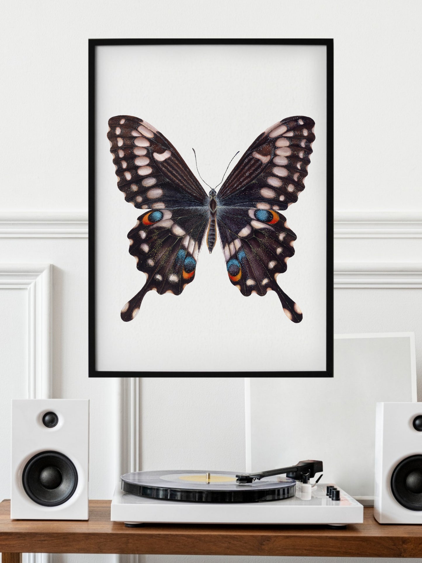 Papilio ophidicephalus, the emperor swallowtail, original watercolour art
