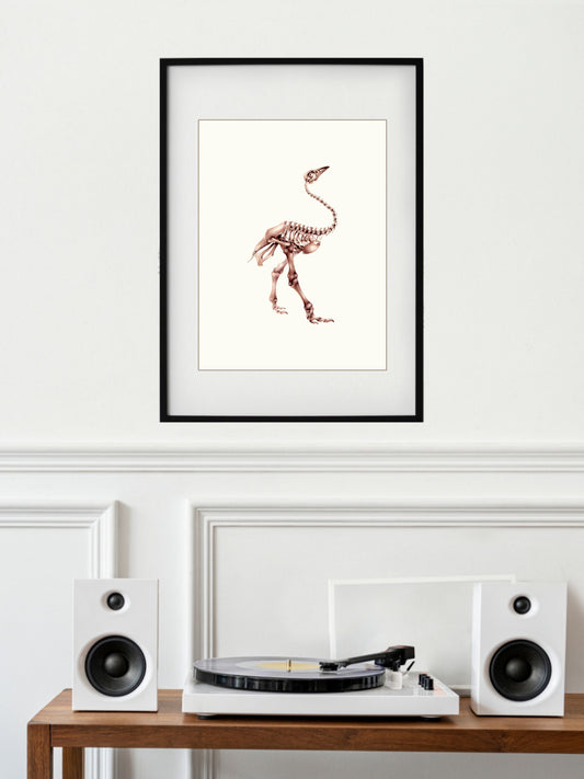Pachystruthio dmanisensis, skeleton of the prehistoric ostrich, original watercolour art