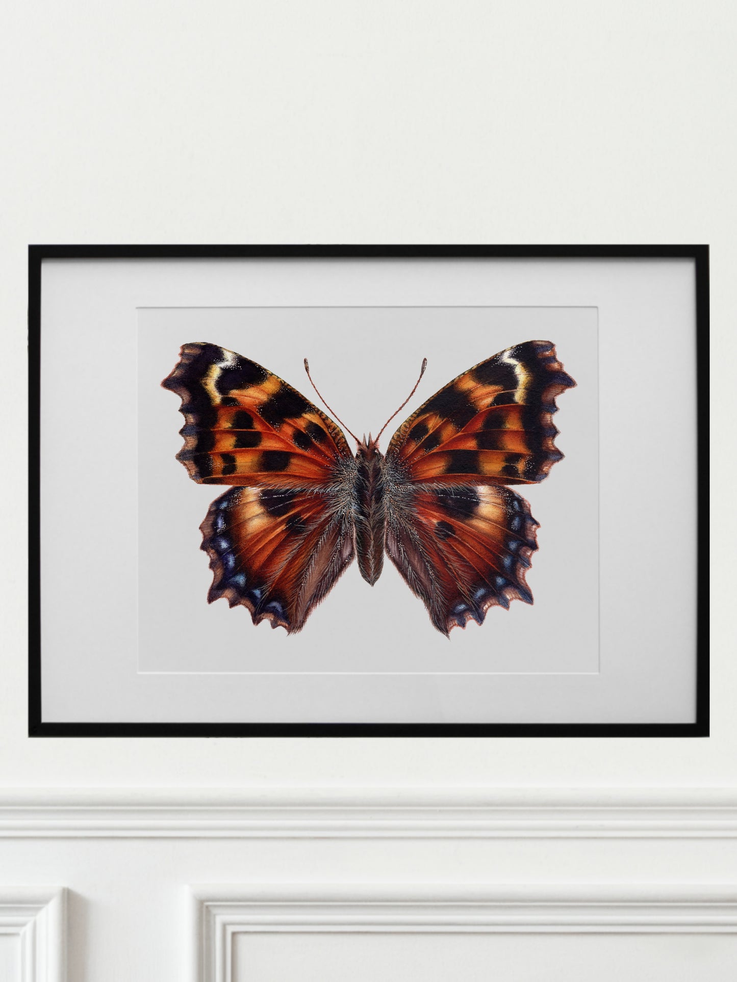 Nymphalis polychloros, original watercolor art