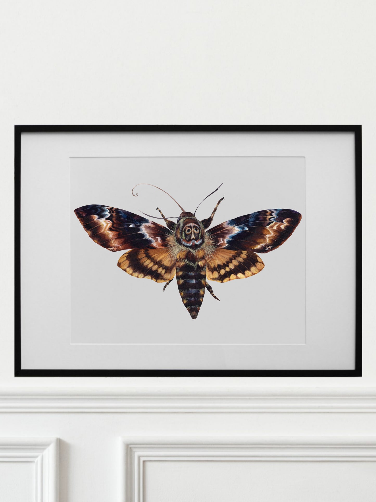 Acherontia atropos, original watercolor art