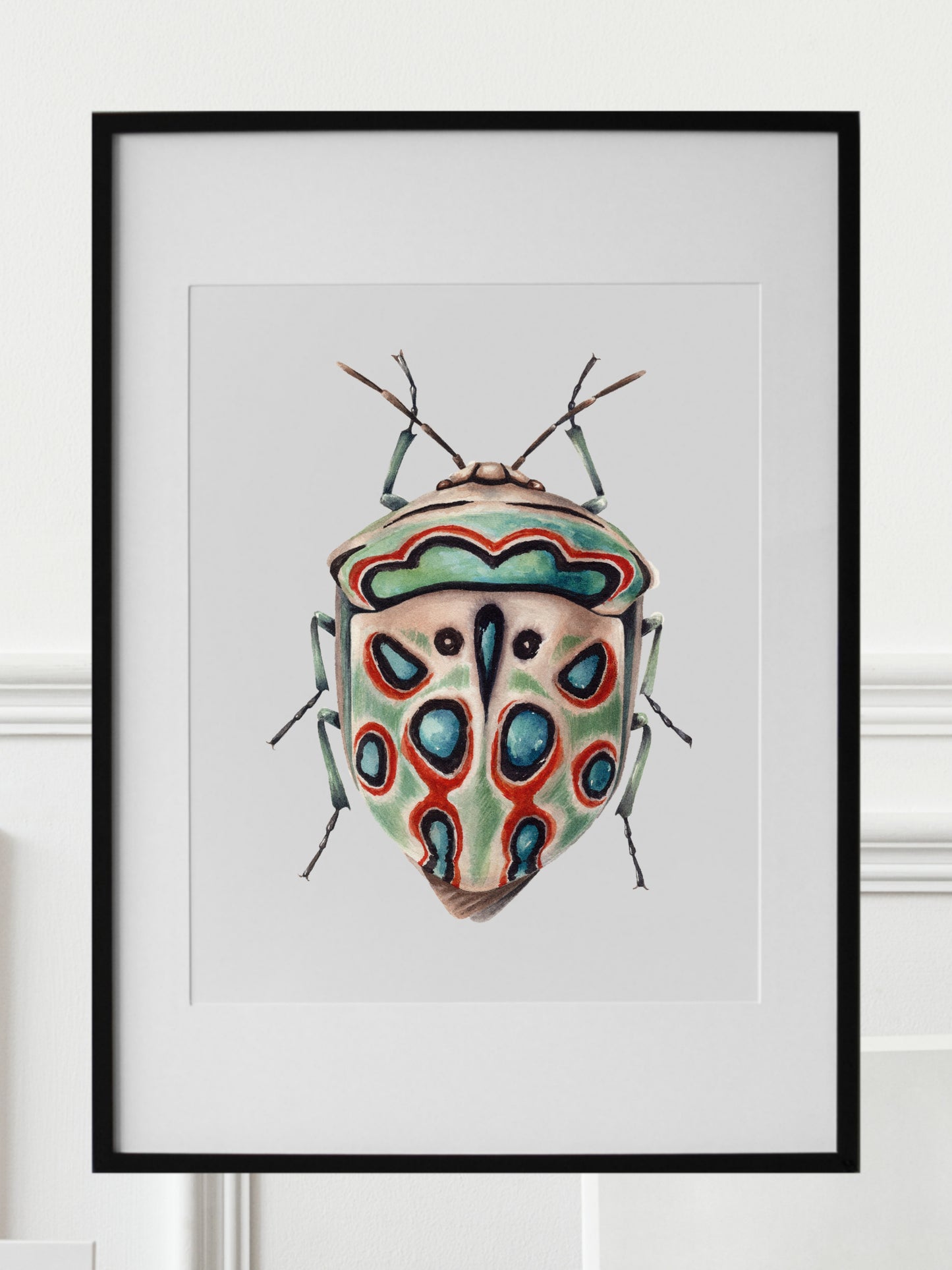 Sphaerocoris annulus, the Picasso bug, original watercolor art