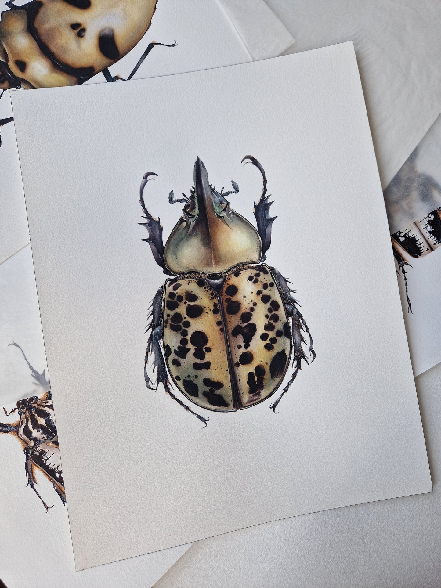 Dynastes tityus, original watercolour art