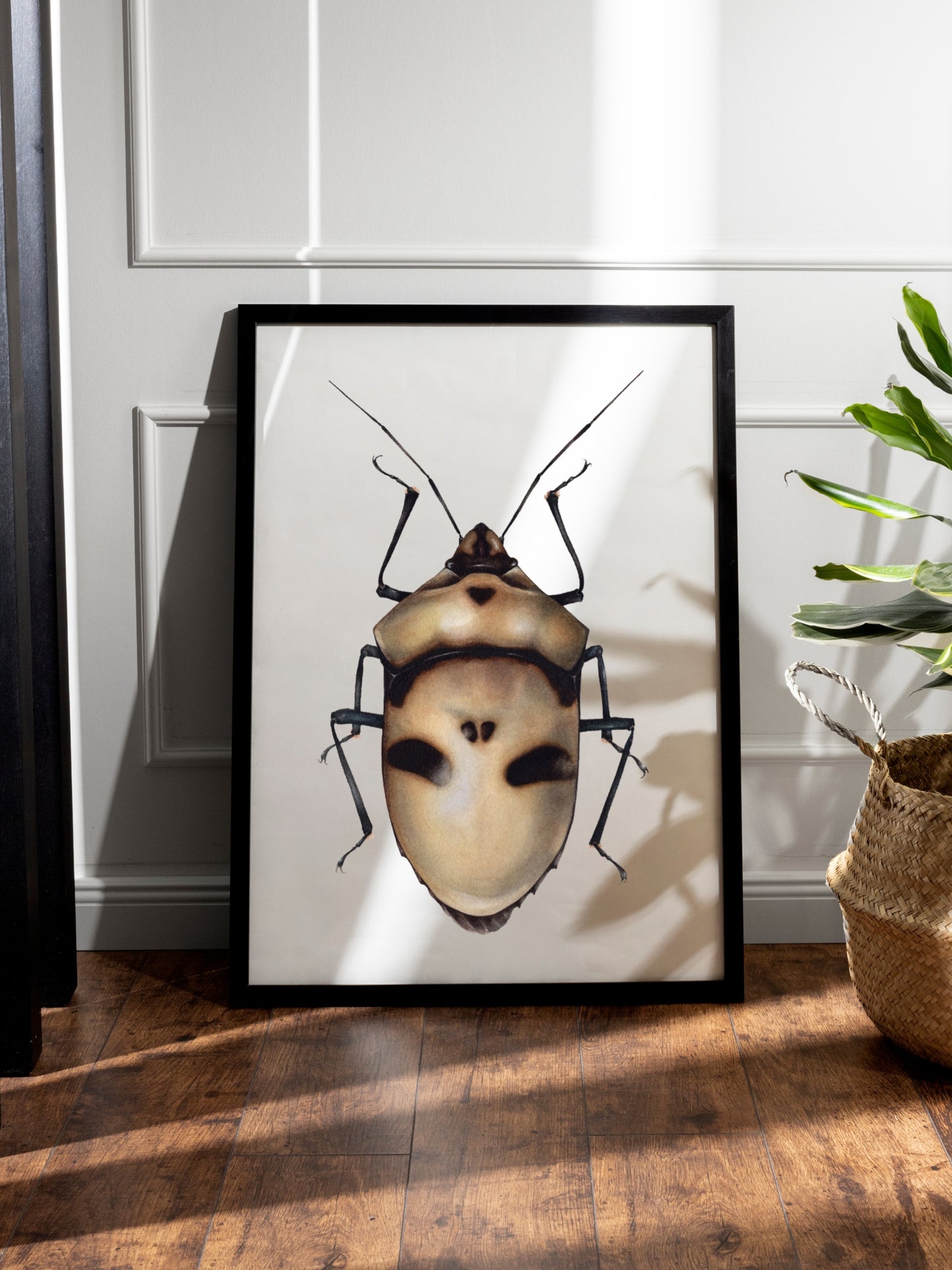 Eucorysses grandis, original watercolour art