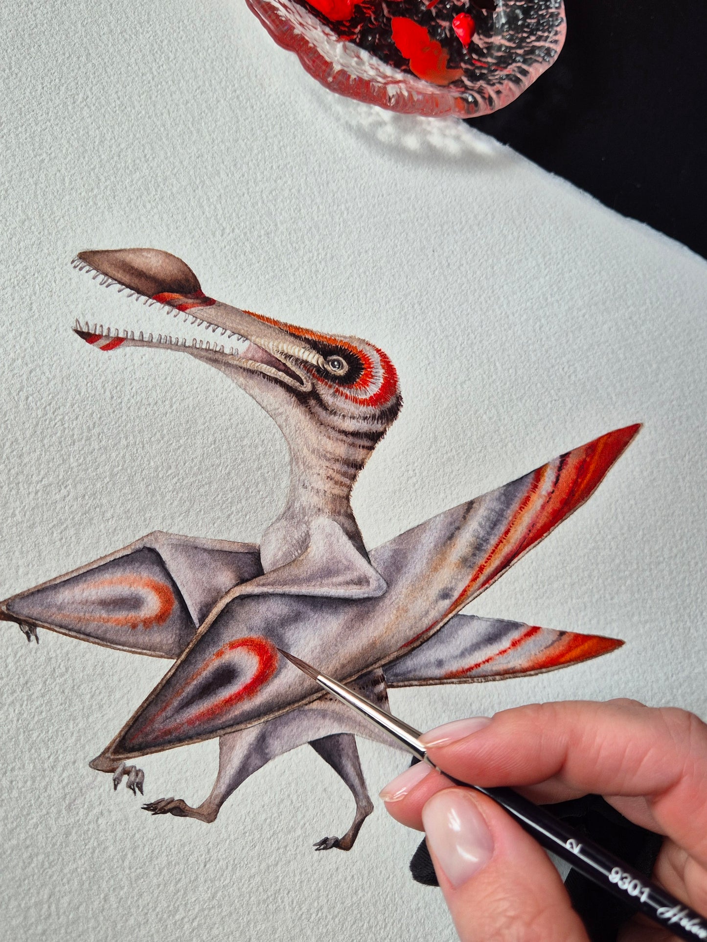Coloborhynchus, original watercolor art