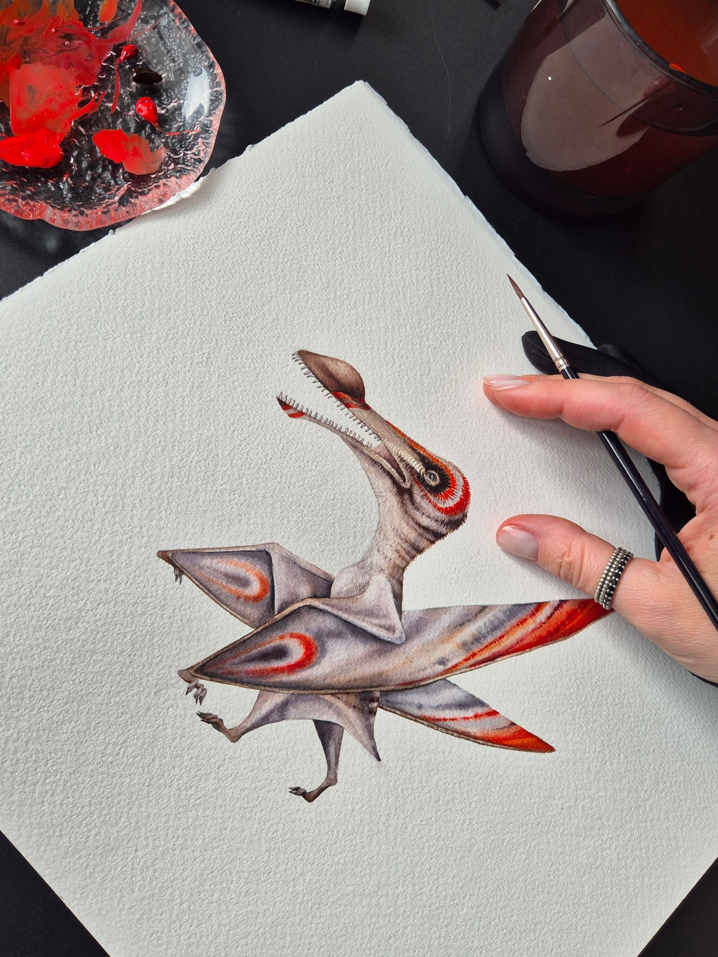 Coloborhynchus, original watercolor art