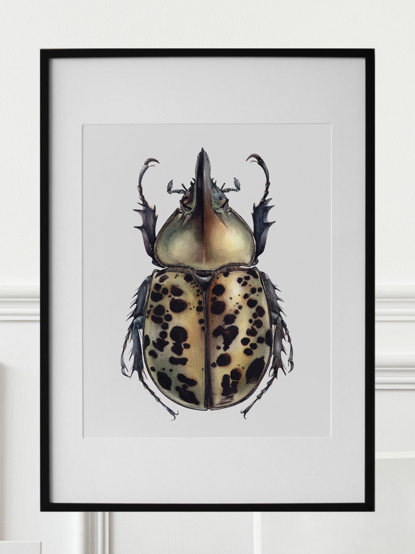 Dynastes tityus, original watercolour art