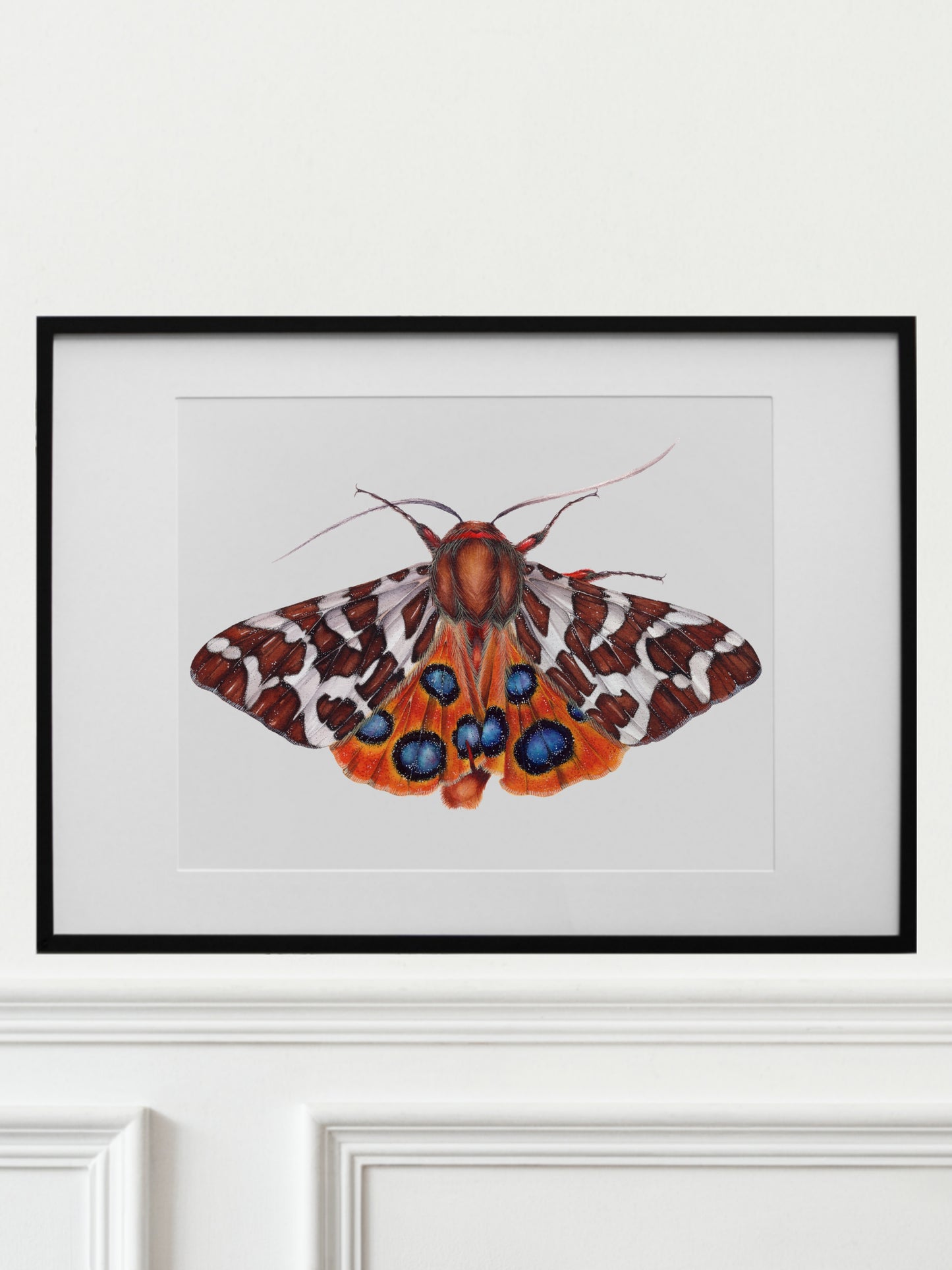 Arctia Caja, original watercolor art