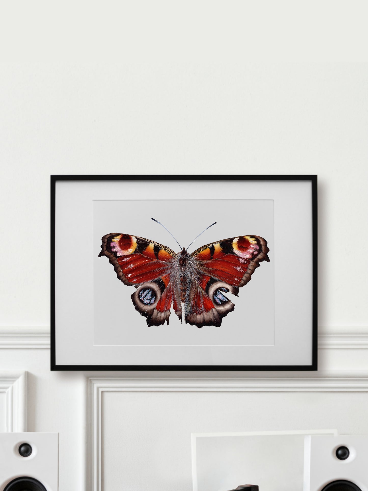 Aglais IO, original watercolor art