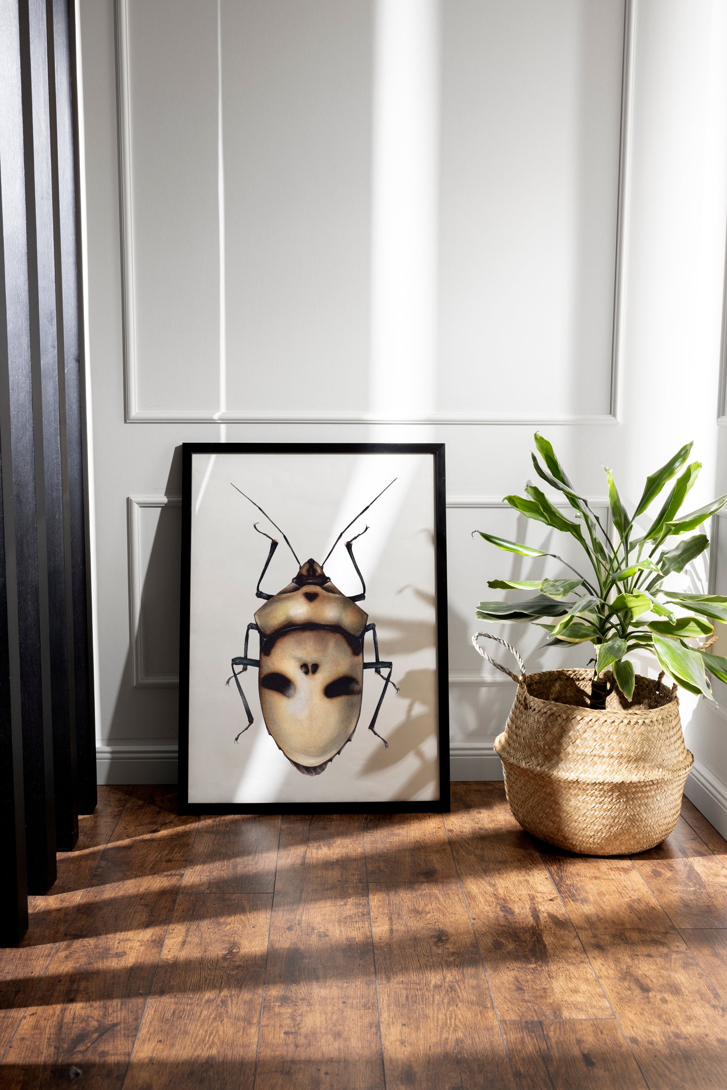 Eucorysses grandis, original watercolour art