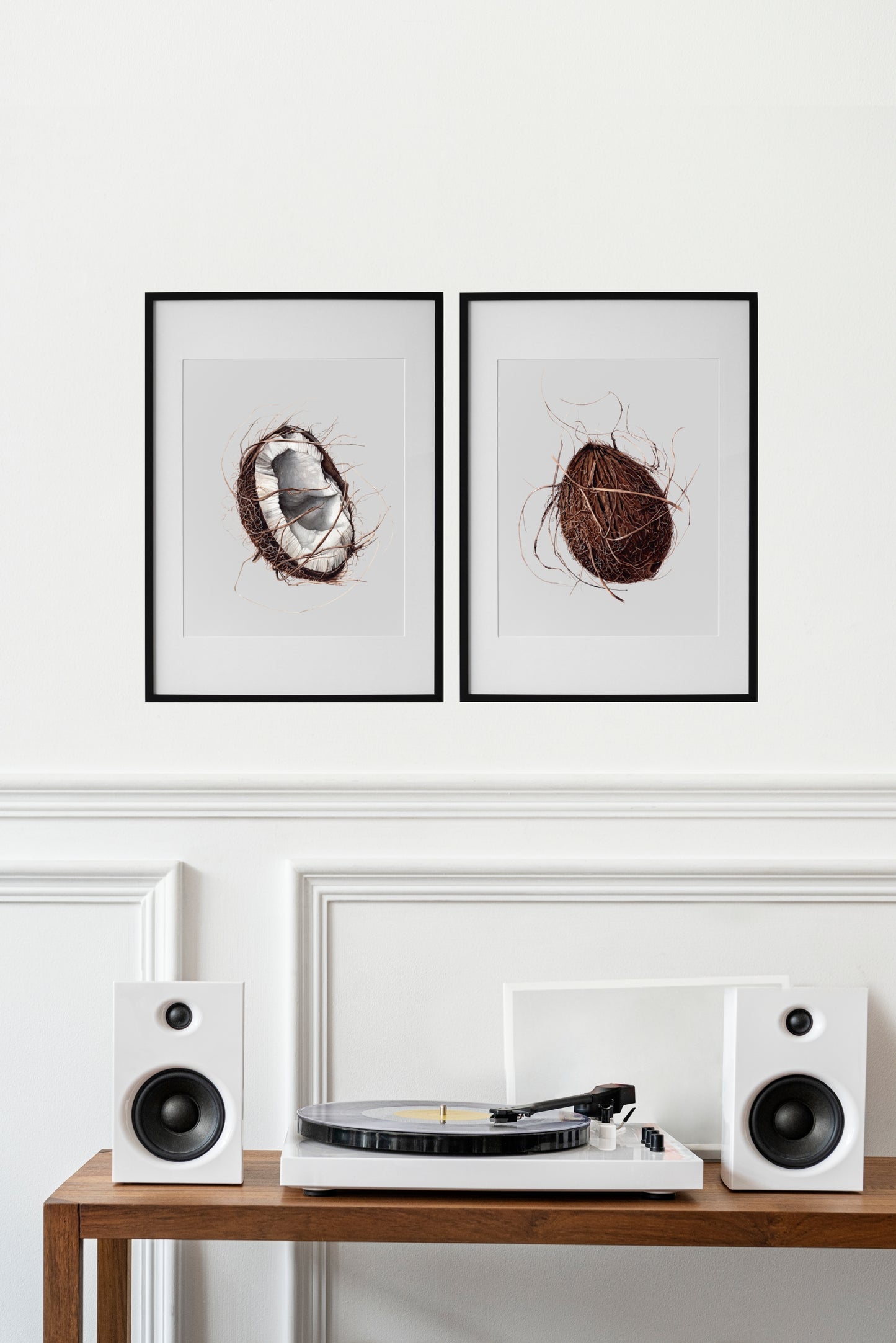 Cocos nucifera (coconut), original watercolour botanical illustration