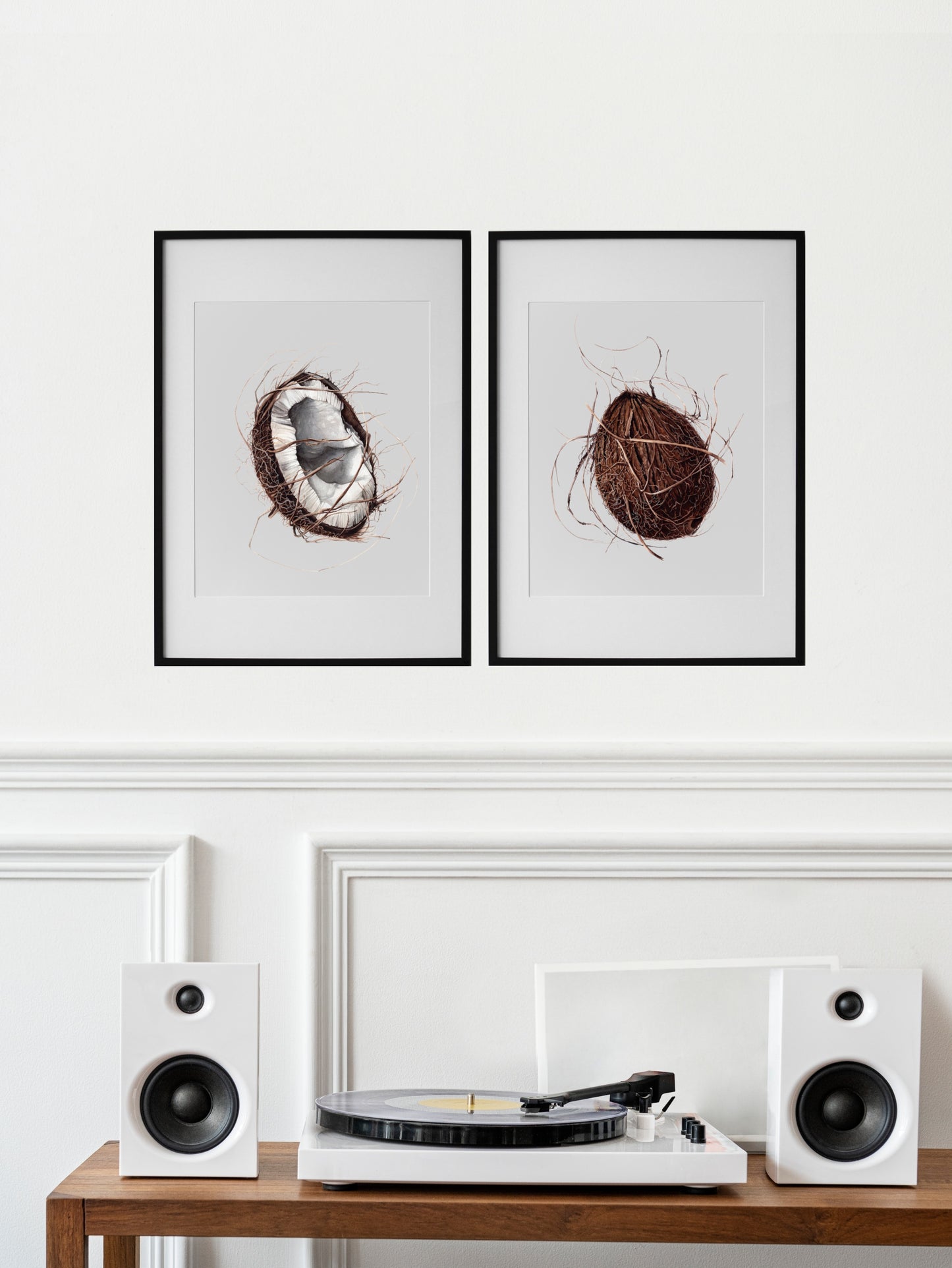 Broken coconut, Cocos nucifera, original watercolour botanical illustration
