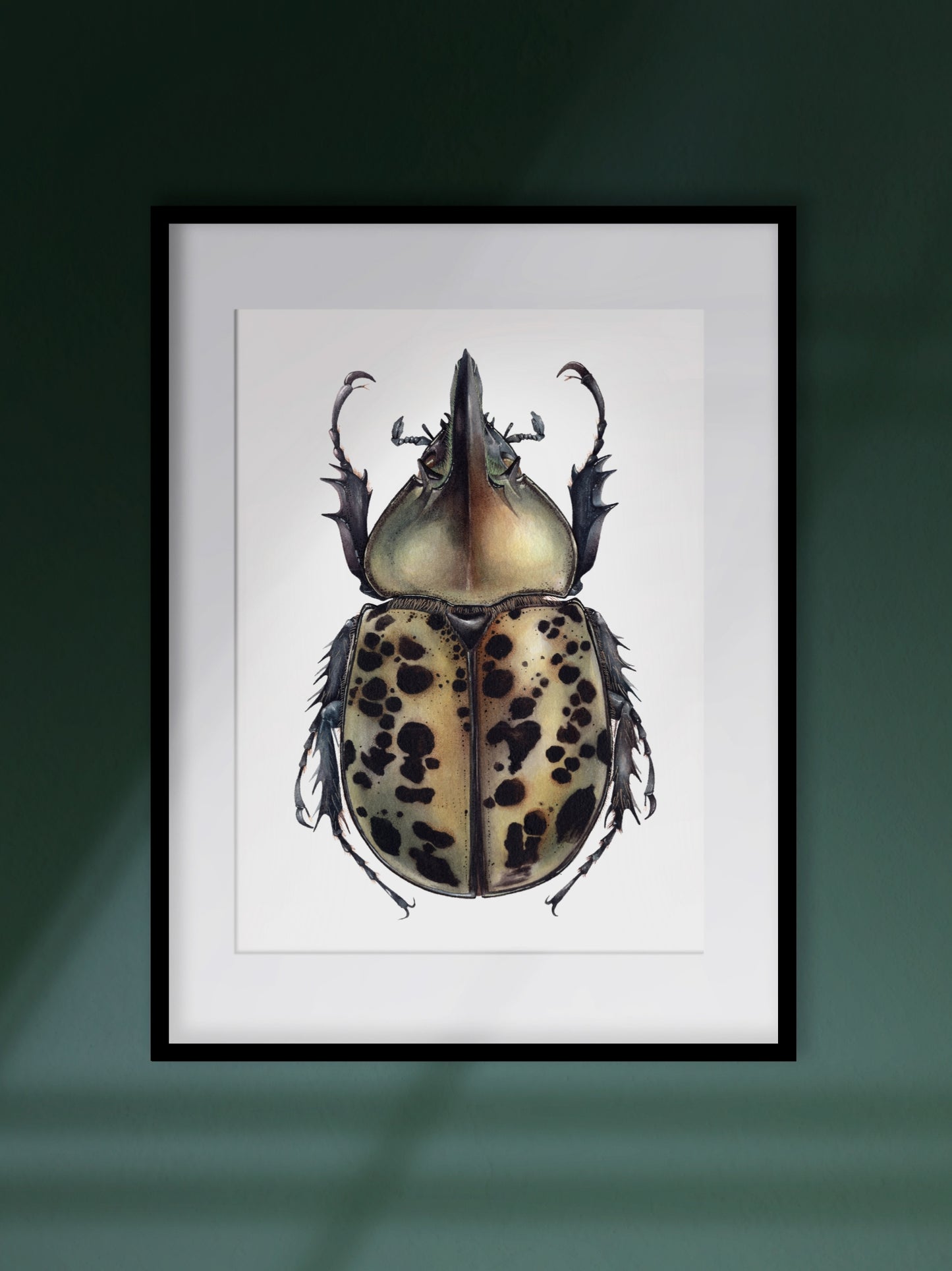 Dynastes tityus, original watercolour art