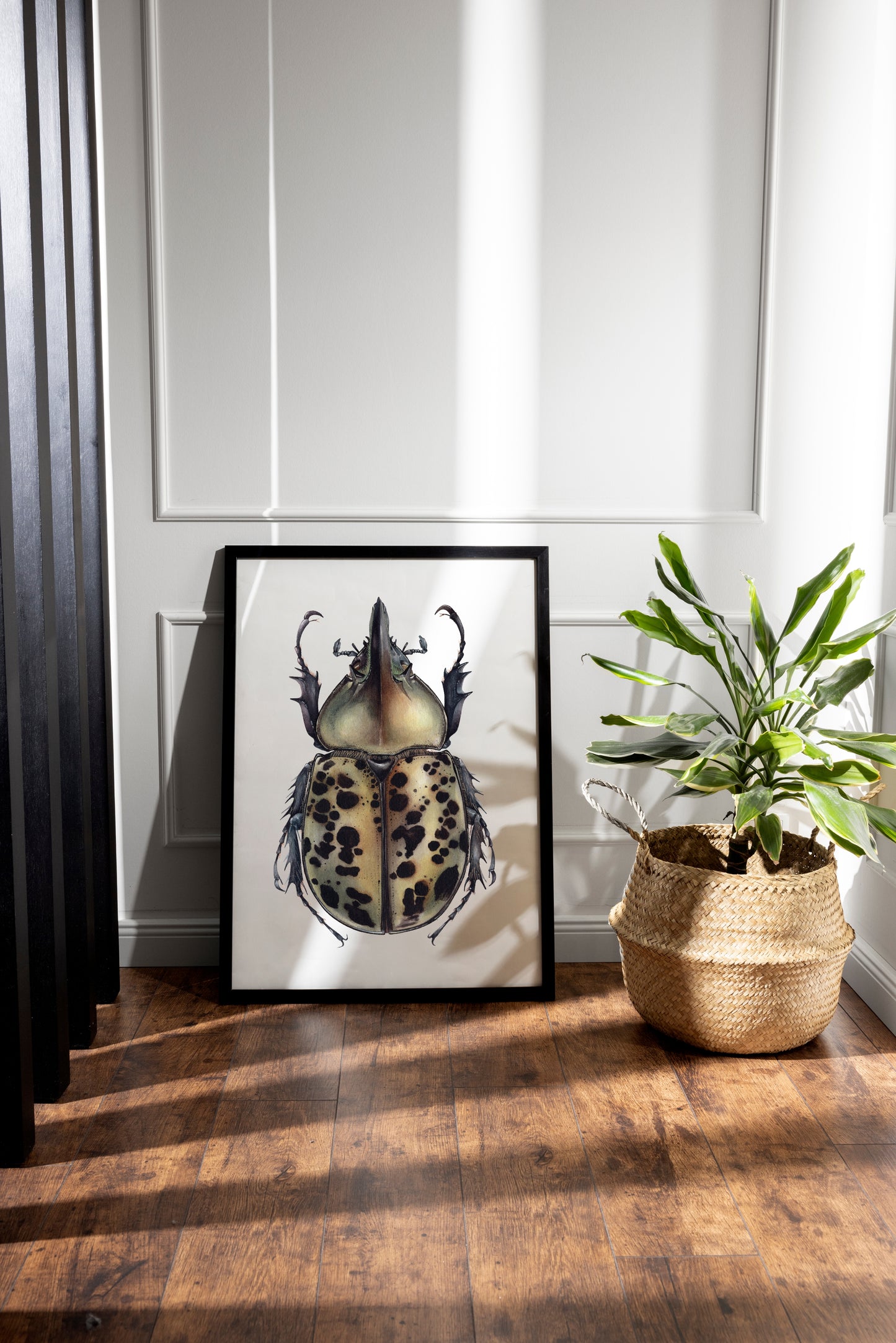 Dynastes tityus, original watercolour art