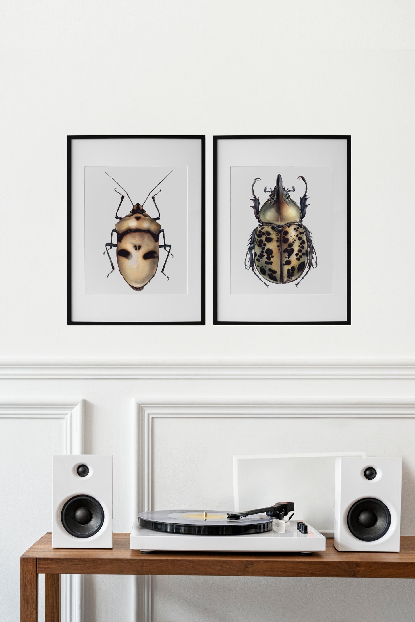 Dynastes tityus, original watercolour art