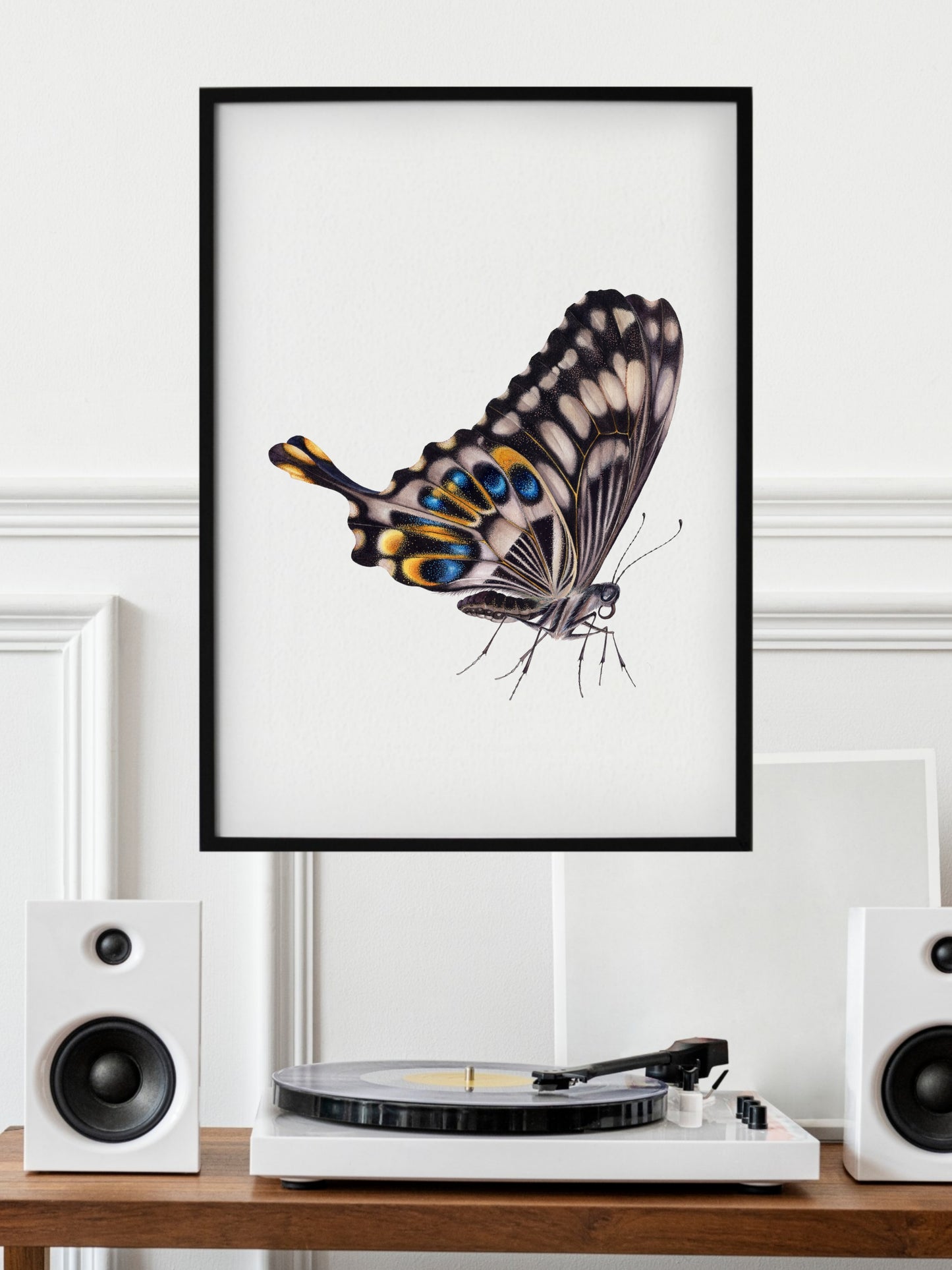 Papilio ophidicephalus, the emperor swallowtail (profile), original watercolour art