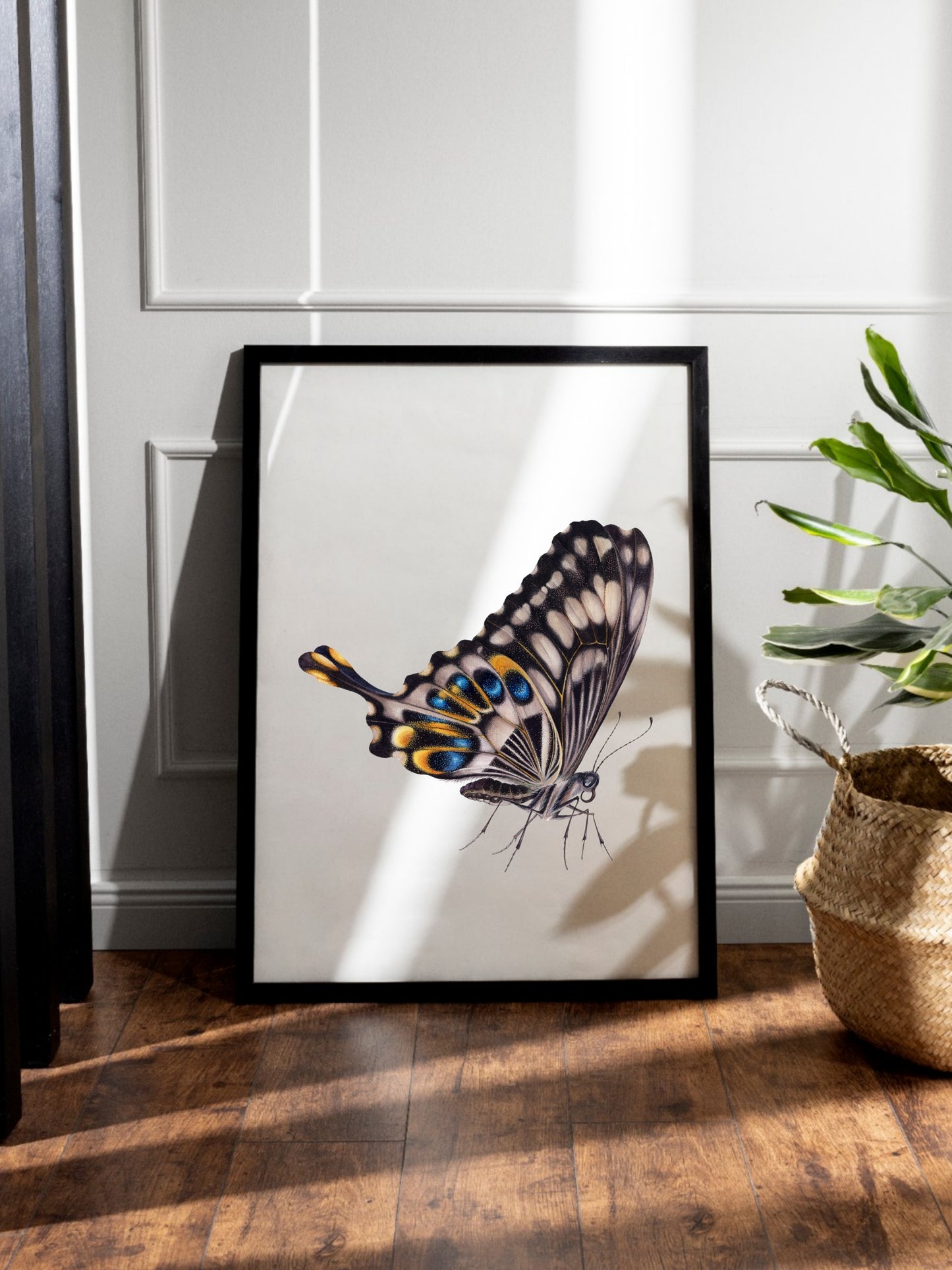 Papilio ophidicephalus, the emperor swallowtail (profile), original watercolour art