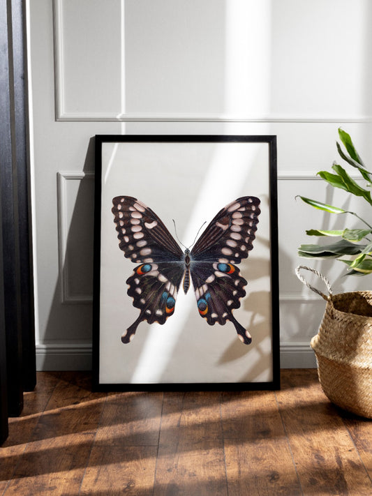 Papilio ophidicephalus, the emperor swallowtail, original watercolour art