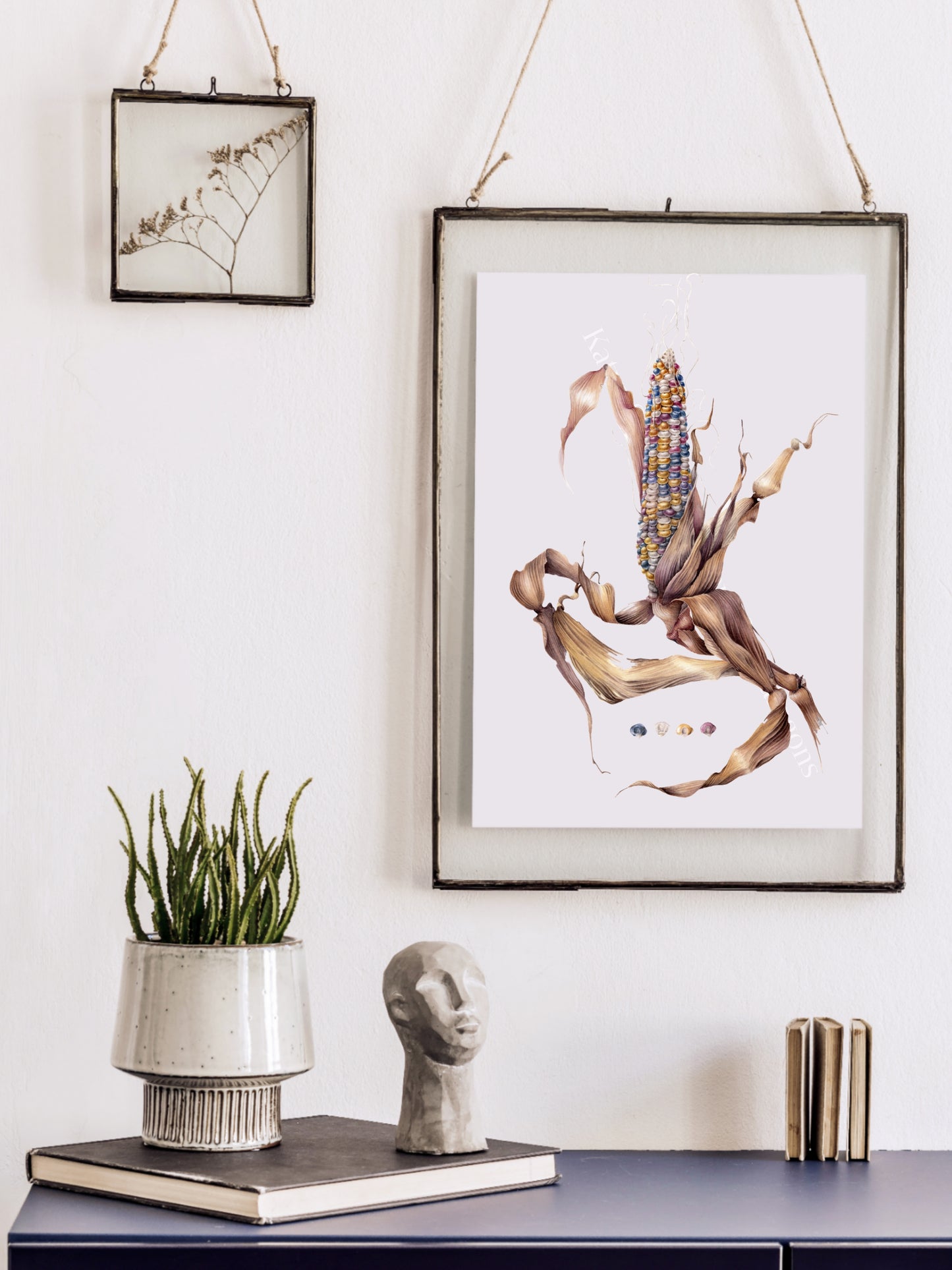 Glass Gem Corn, Zea mays, original botanical watercolour illustration