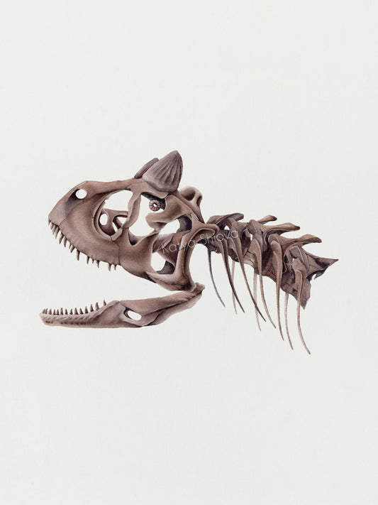 Carnotaurus skull, original watercolour art