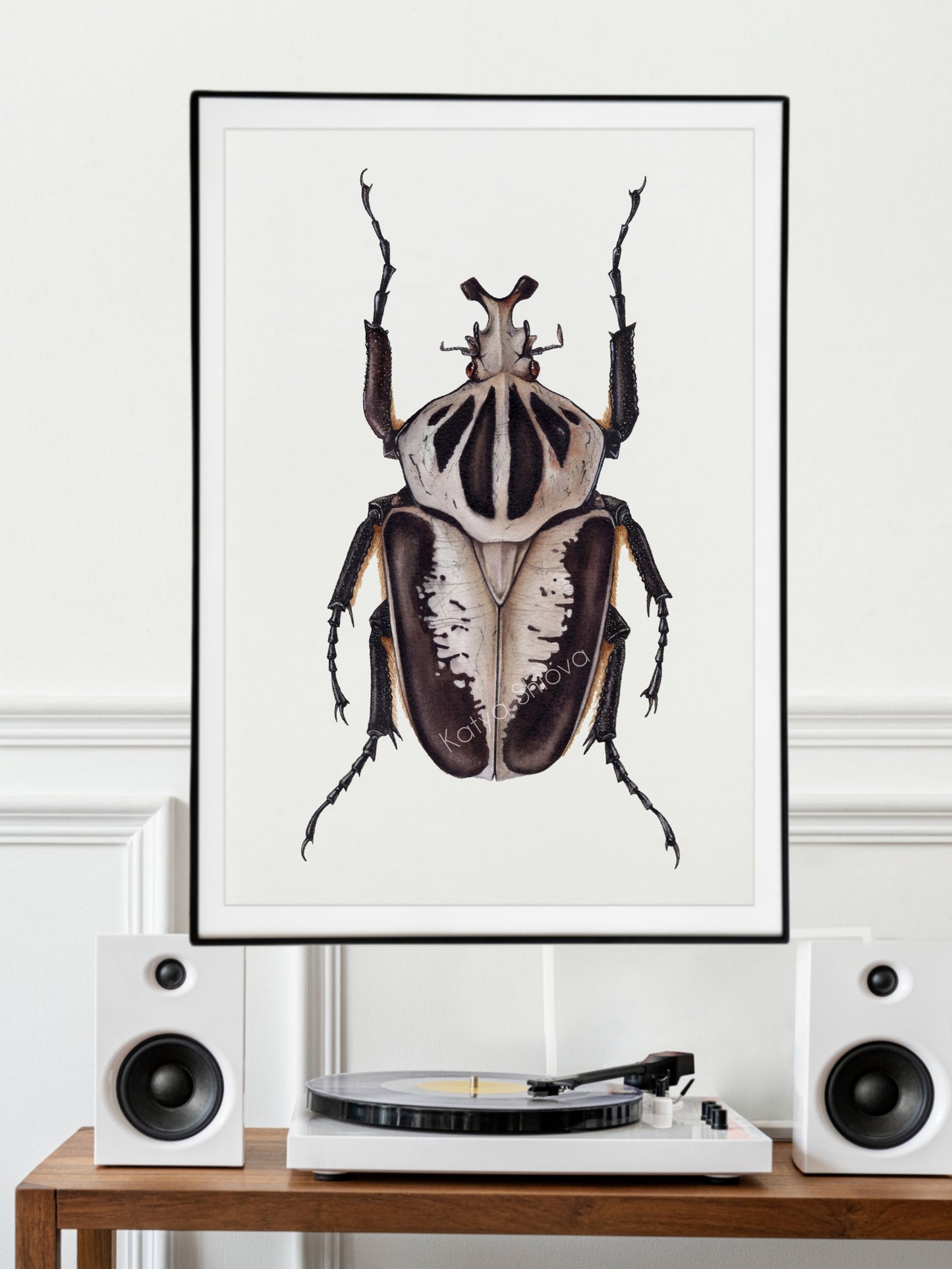 Goliathus regius, original watercolour art