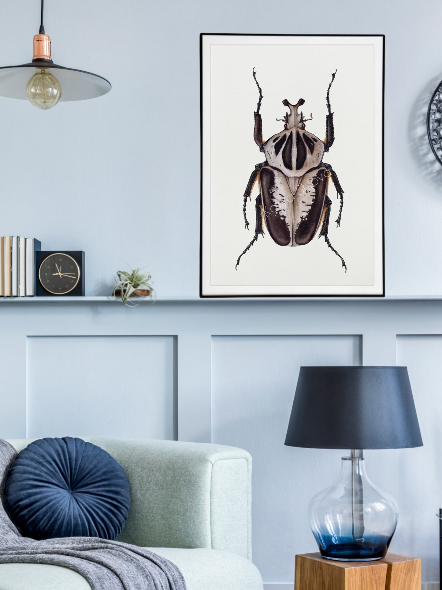 Goliathus regius, original watercolour art