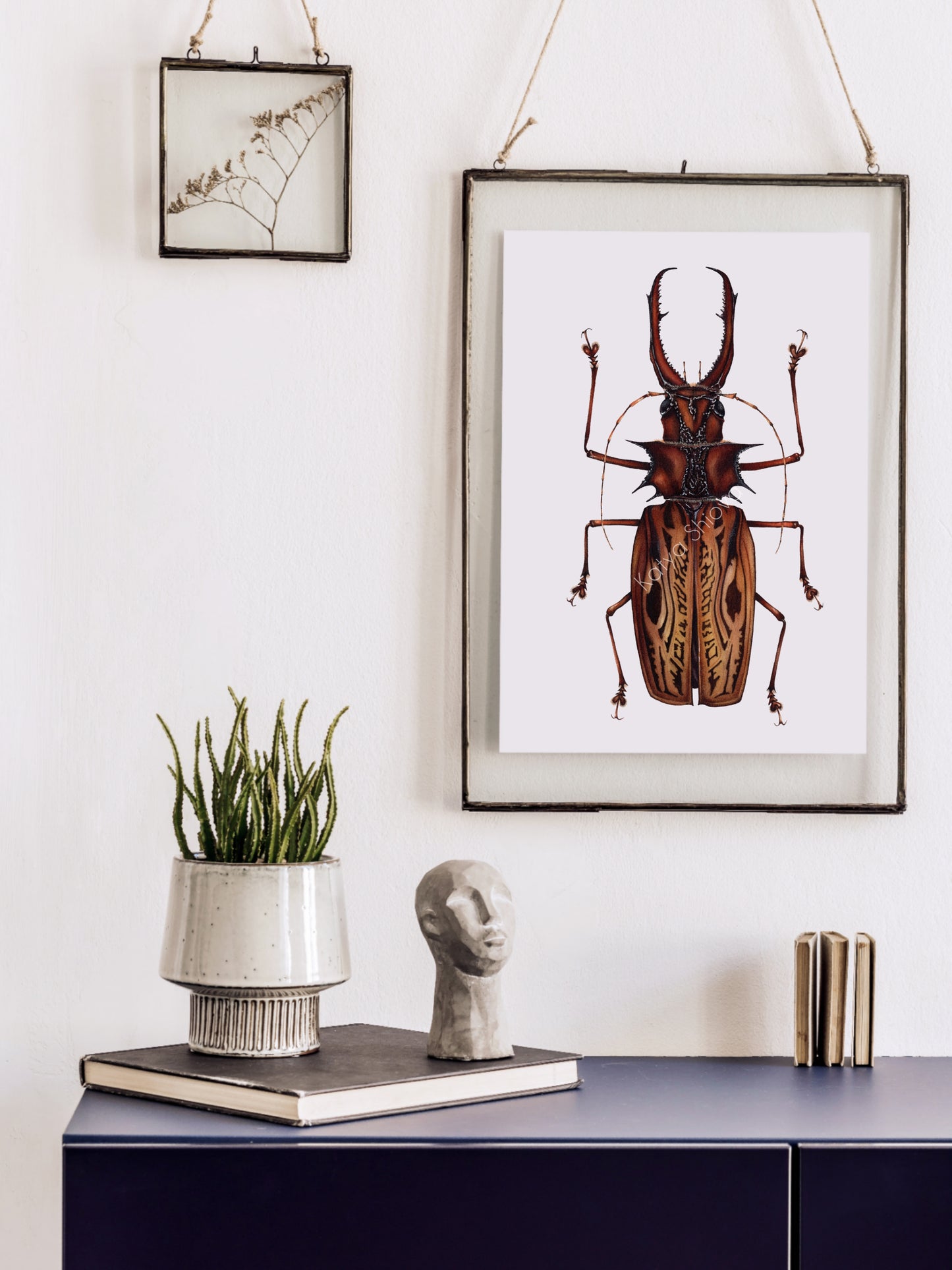 Macrodontia cervicornis, The sabertooth longhorn beetle, original watercolour art