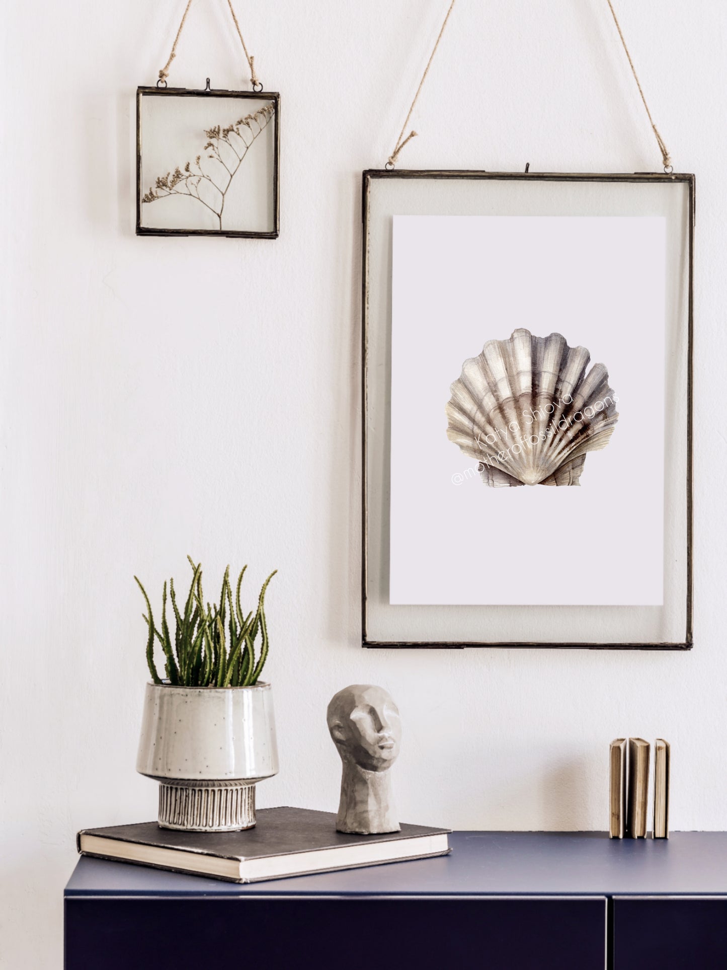 Scallop shell, fossilized Chesapecten jeffersonius from Virginia, original watercolour art