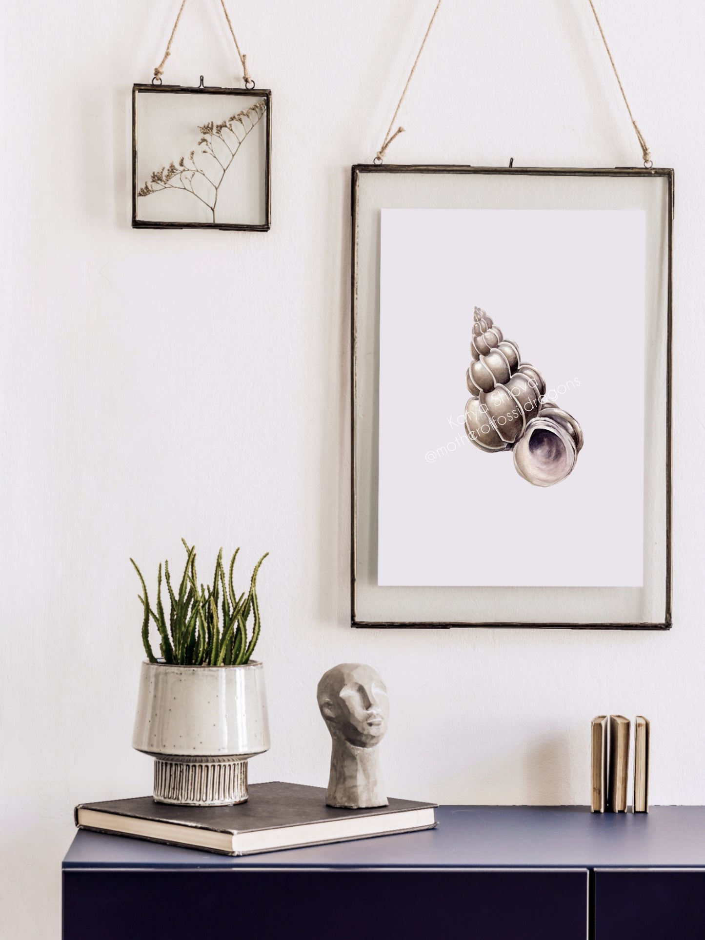 Epitonium scalare, the precious wentletrap, original watercolour art