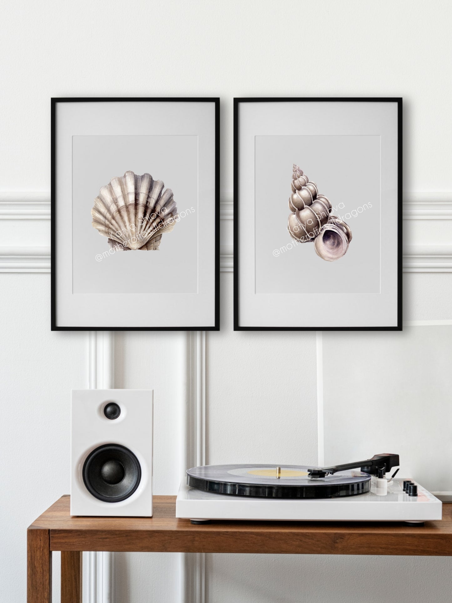 Epitonium scalare, the precious wentletrap, original watercolour art