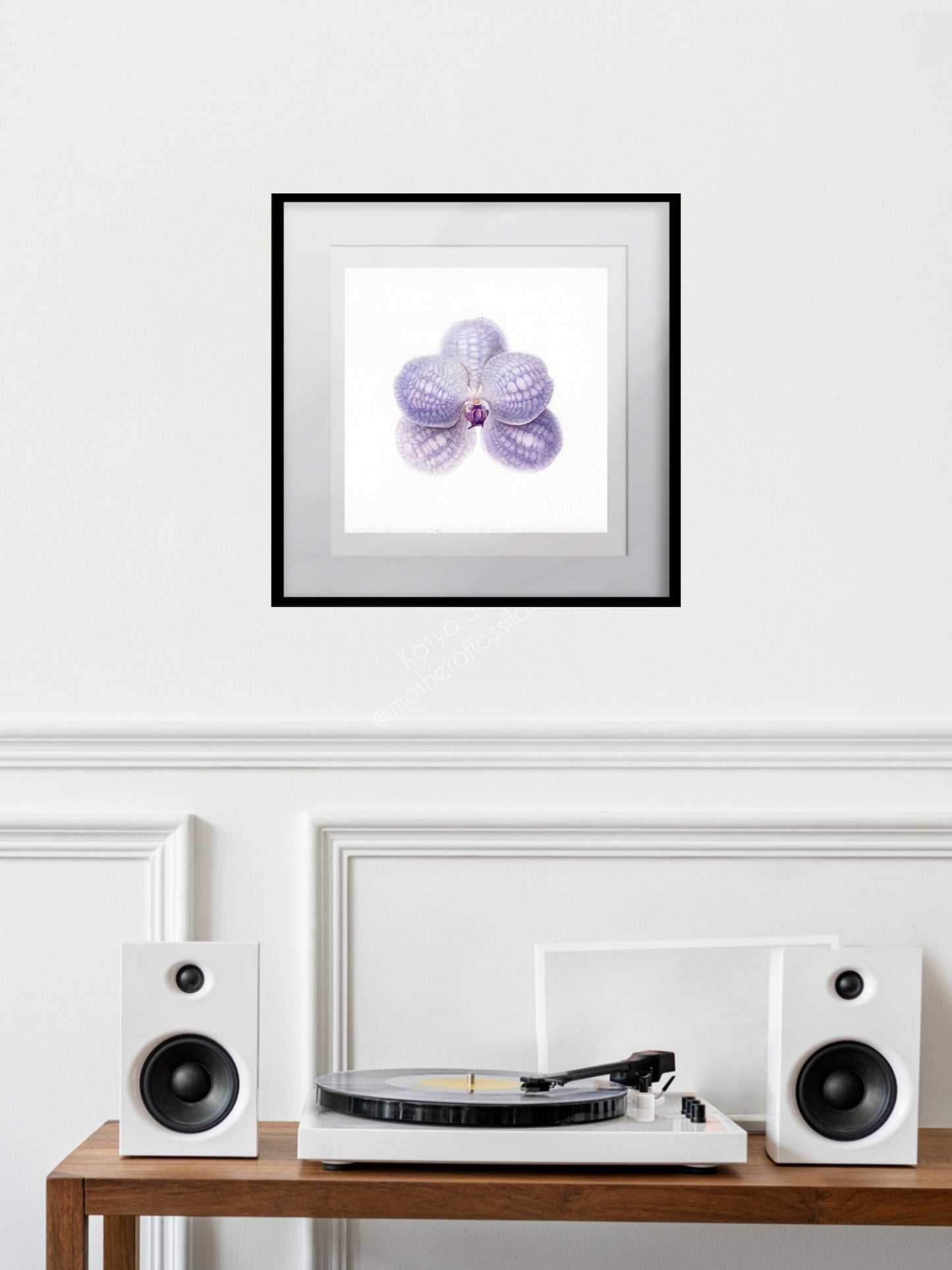 Vanda coerulea, blue vanda orchid, original watercolour art