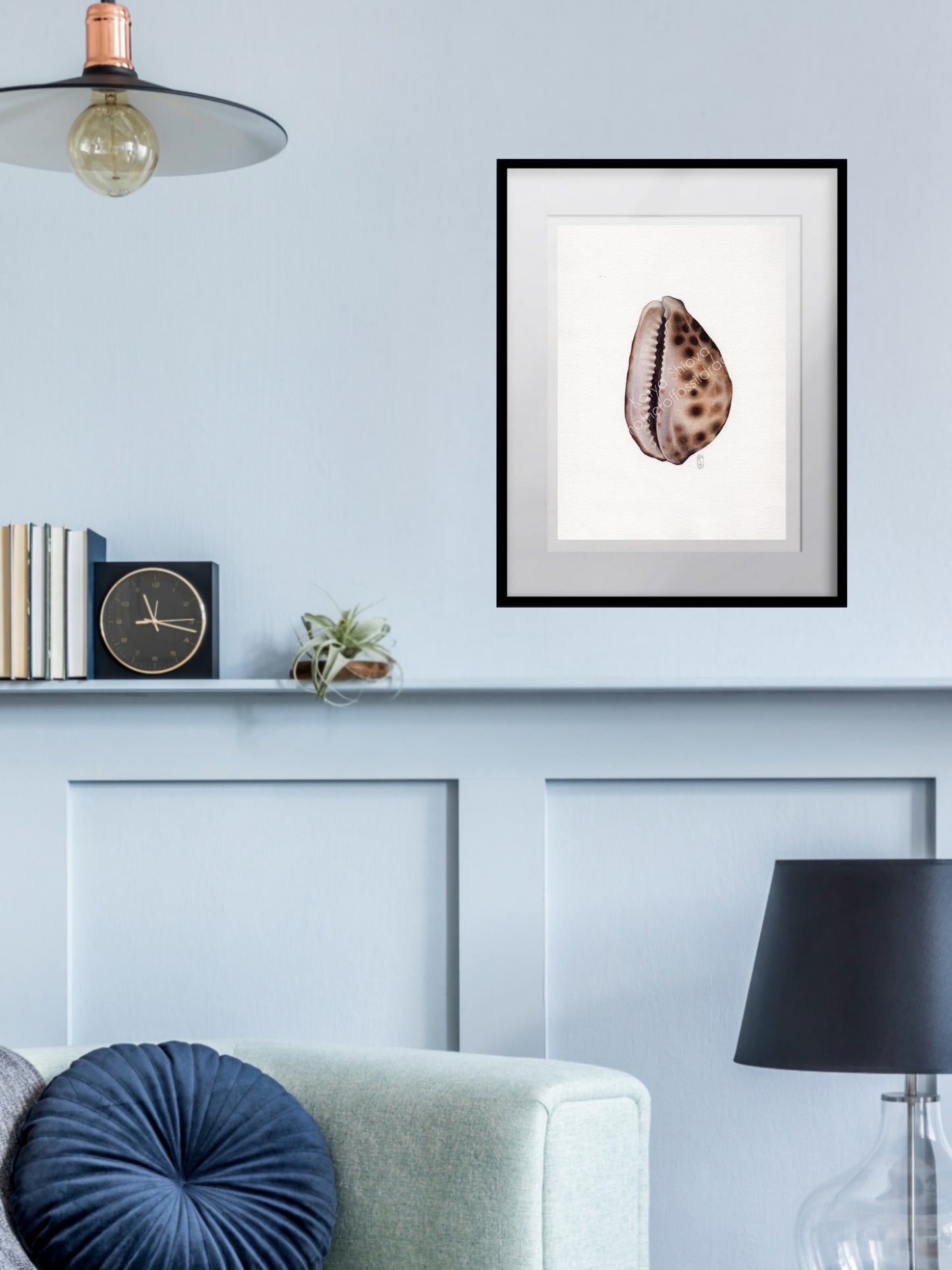 Cypraea tigris, the tiger cowrie, original watercolour art