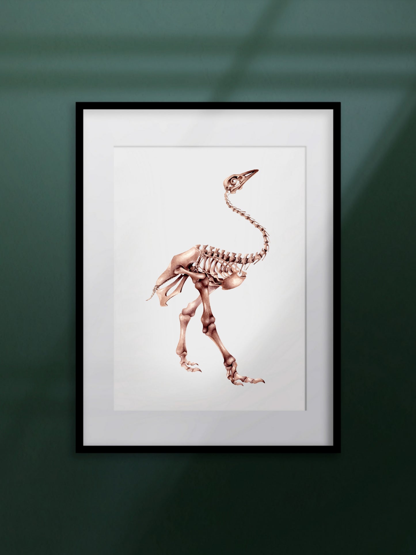 Pachystruthio dmanisensis, skeleton of the prehistoric ostrich, original watercolour art
