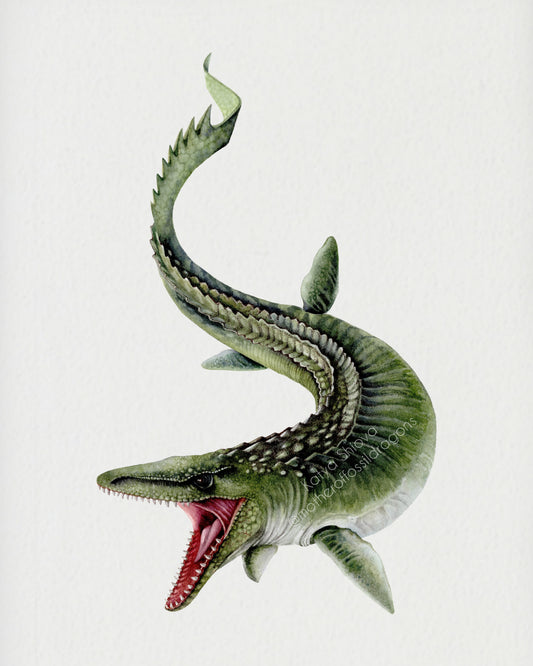 Mosasaurus. original watercolour art