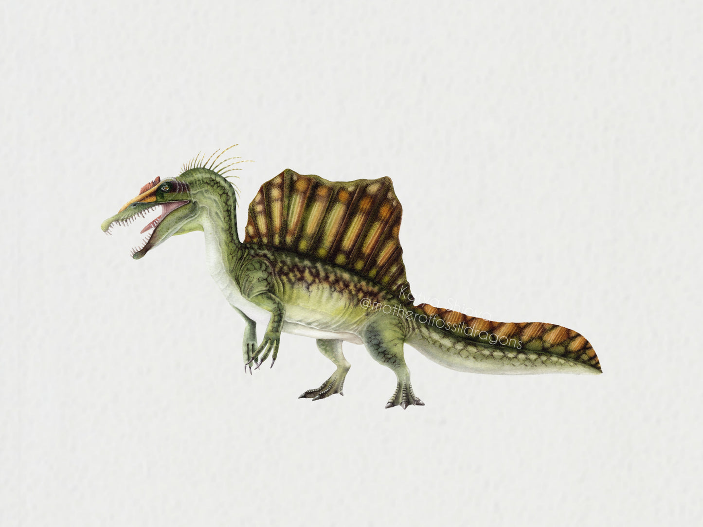 Plesiosaurus, original watercolour art