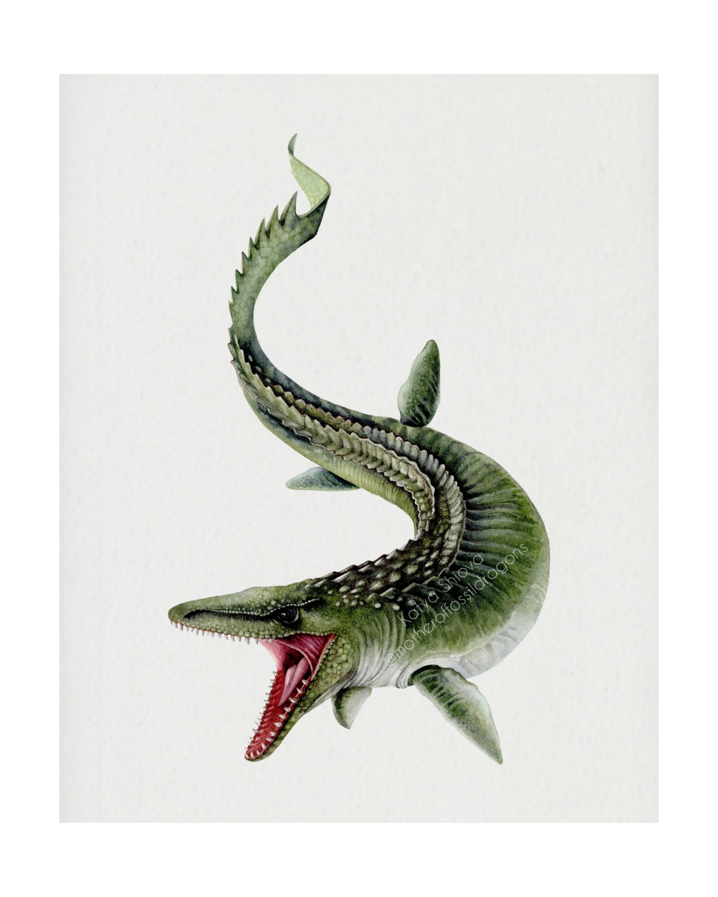 Mosasaurus. original watercolour art