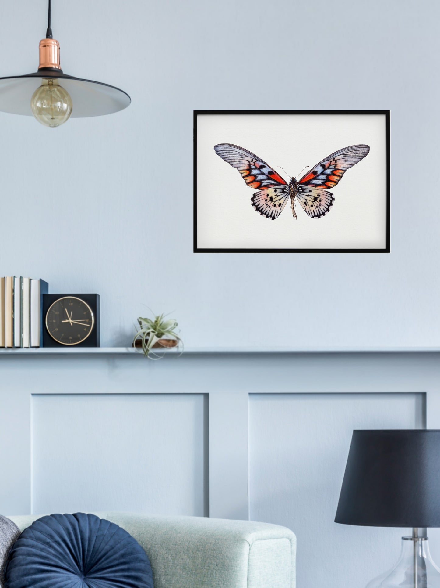 Papilio antimachus, original watercolour art