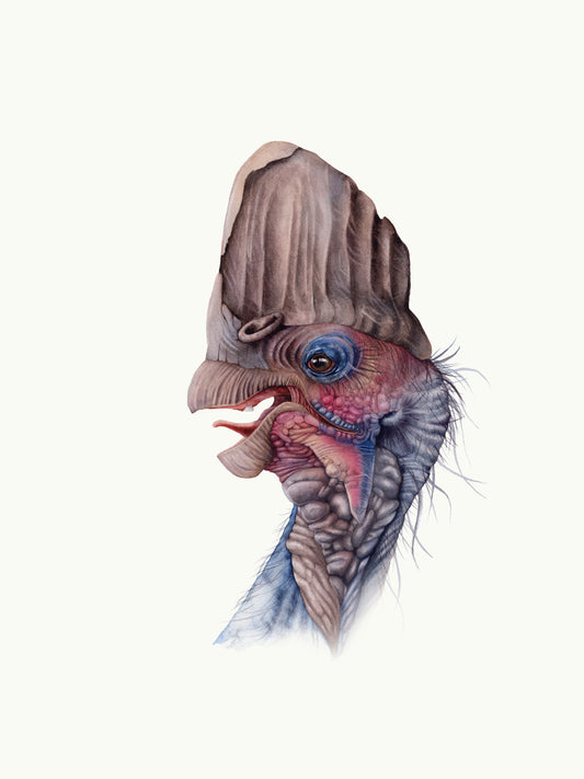 Corythoraptor, original watercolour art