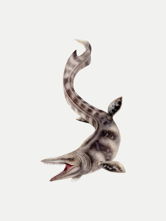 Tylosaurus, original watercolor art