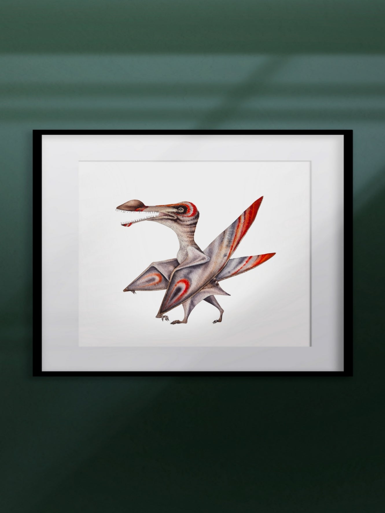 Coloborhynchus, original watercolor art