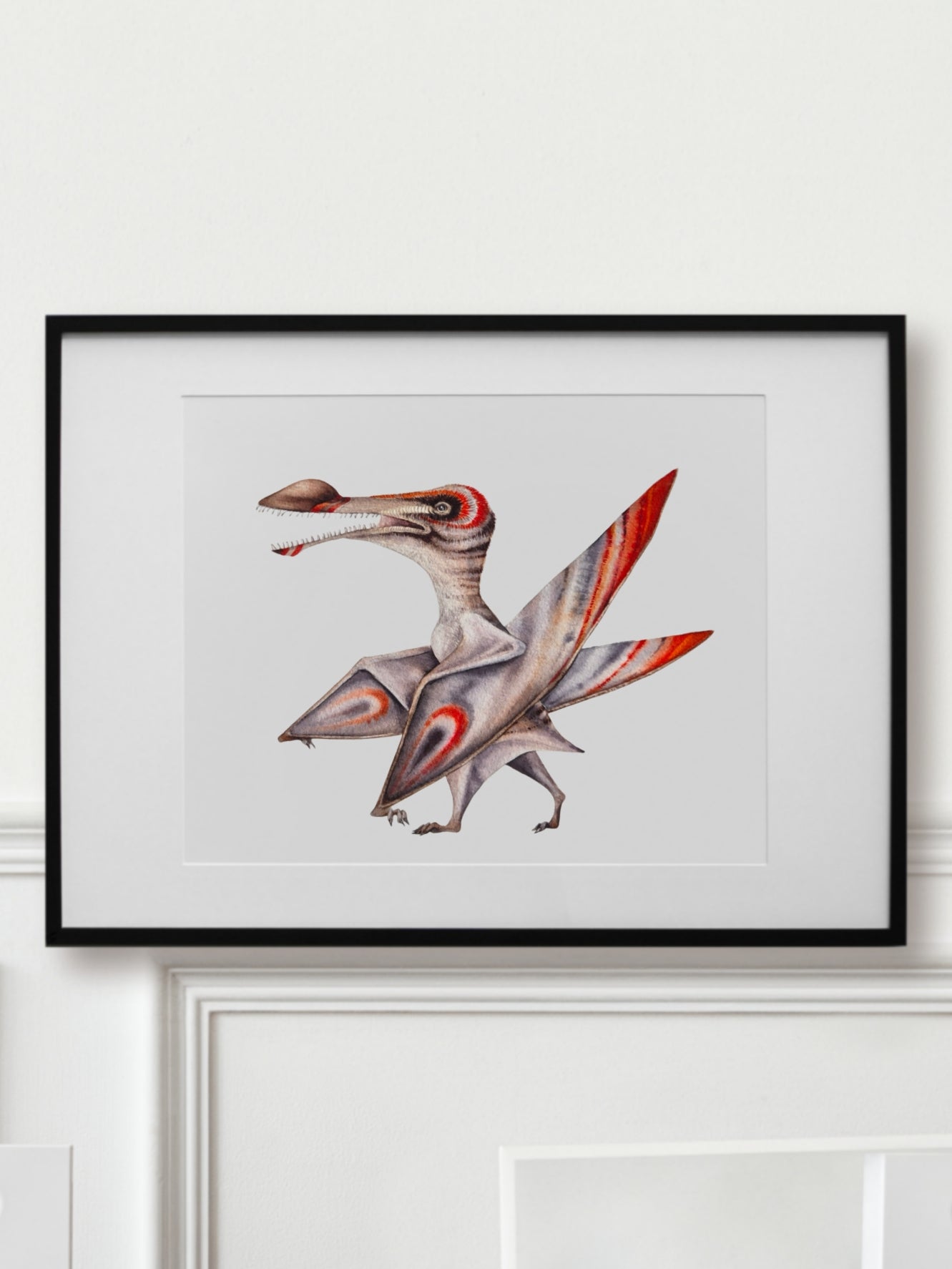 Coloborhynchus, original watercolor art