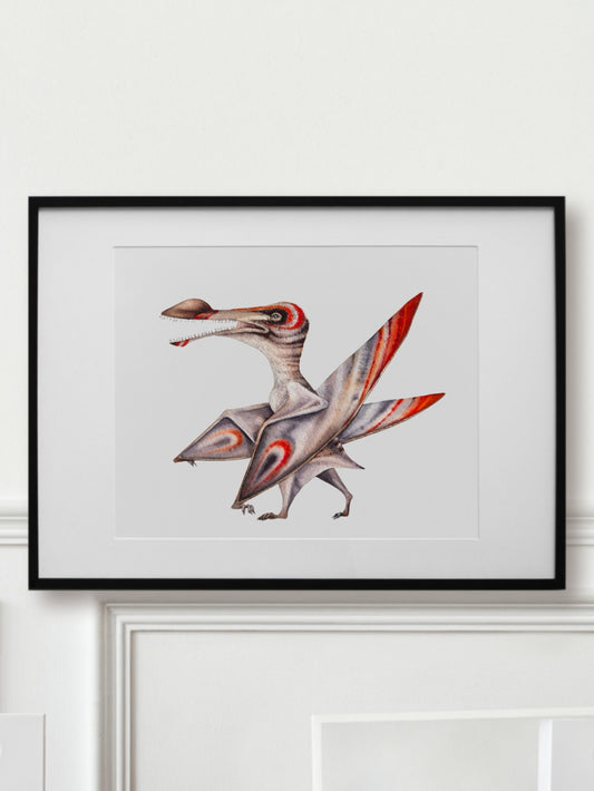 Coloborhynchus, original watercolor art