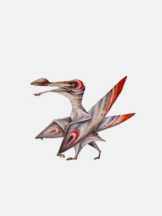 Coloborhynchus, original watercolor art
