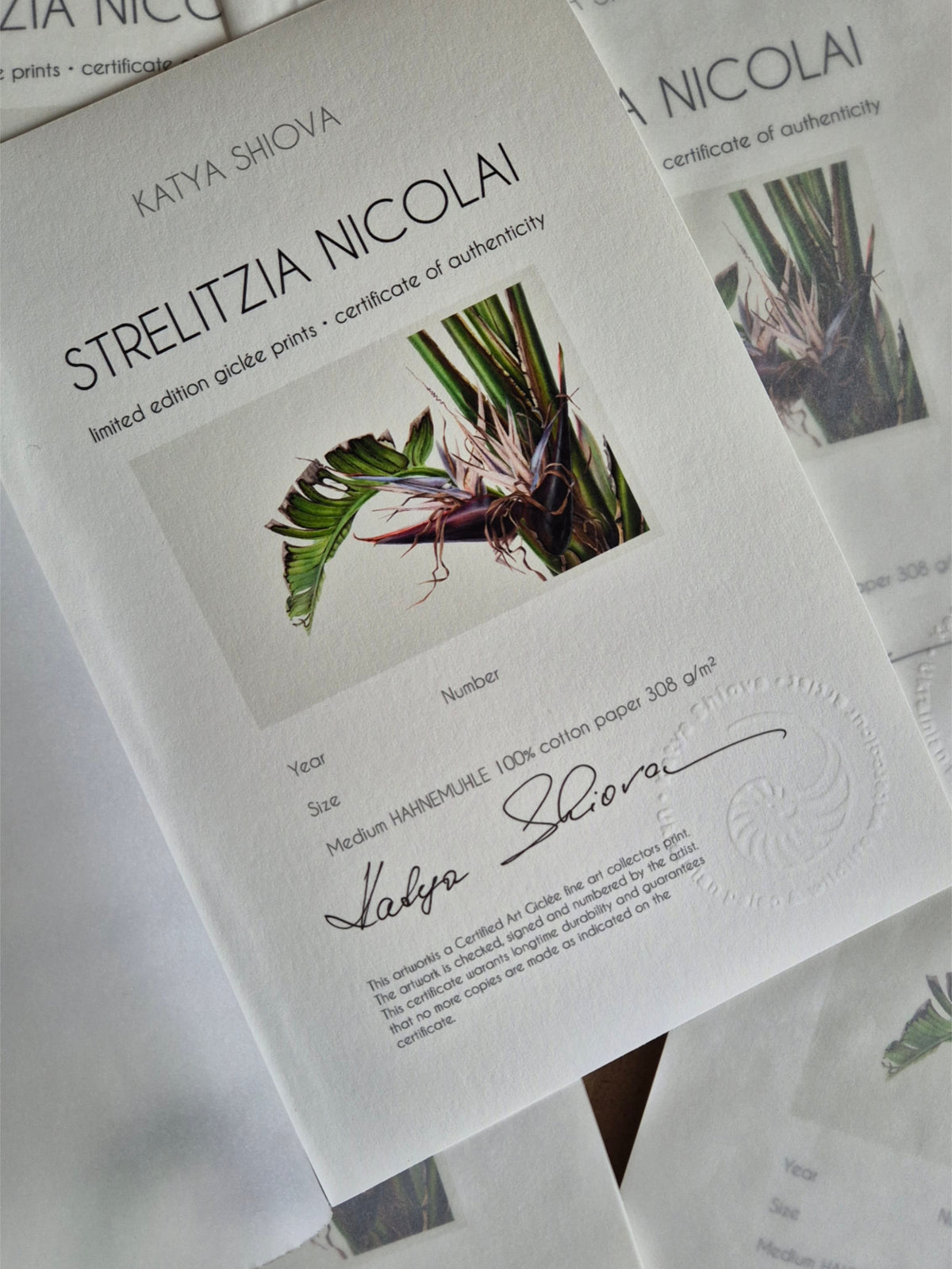 Strelitzia nicolai